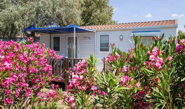 Beau Rivage Languedoc-Roussillon - Mèze visuel 5/30