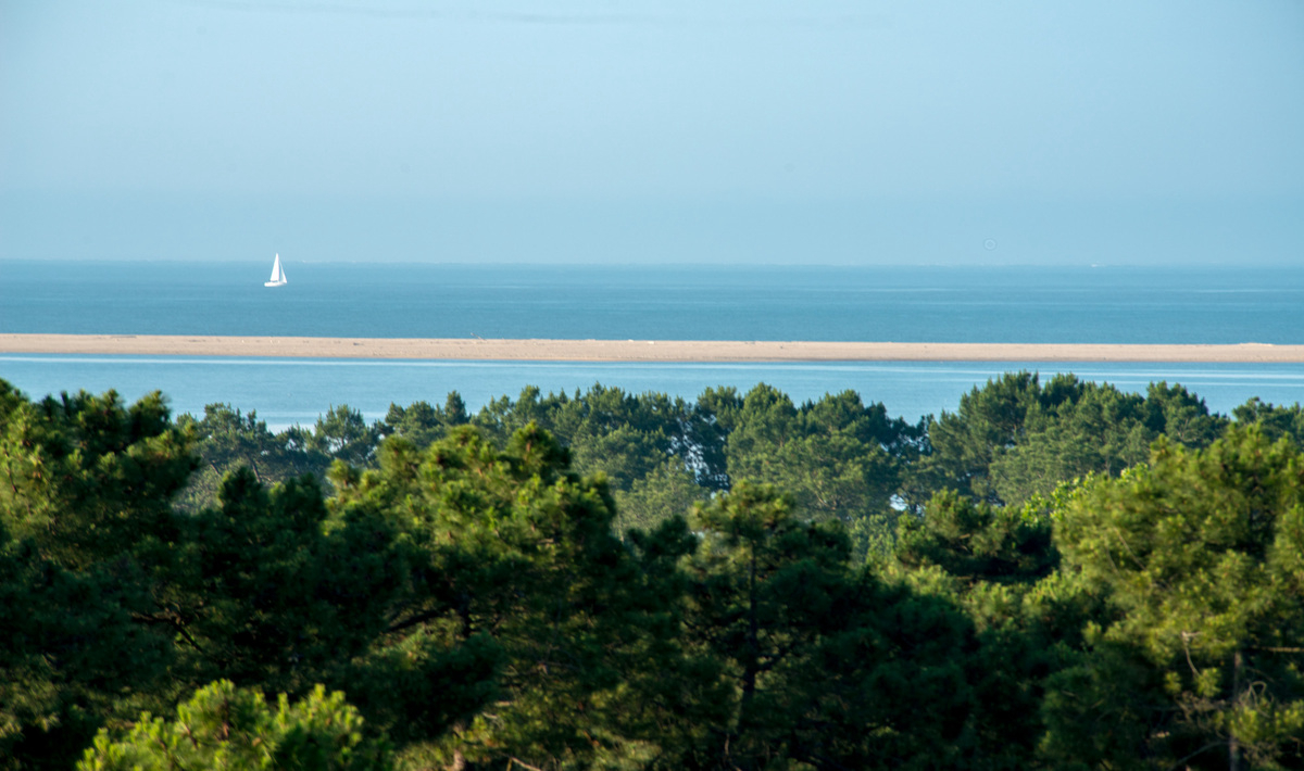 Bonne Anse Plage Poitou-Charentes - Les Mathes-La Palmyre visuel 9/21