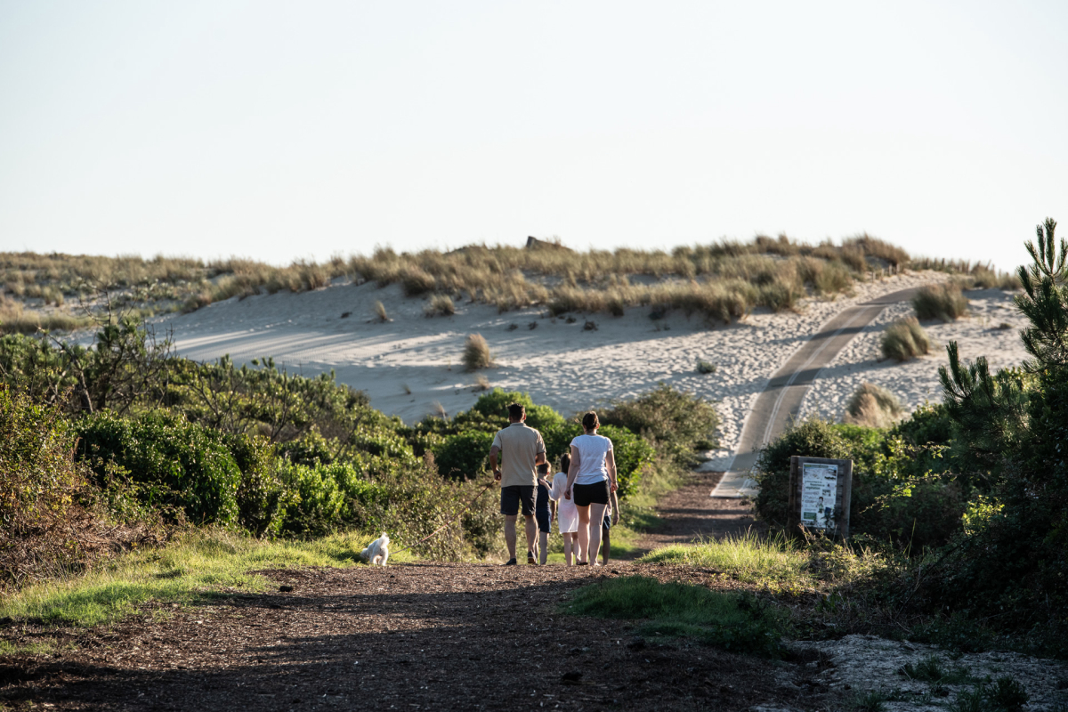 Campéole Les Tourterelles Aquitanien - Saint-Girons visuel 30/35