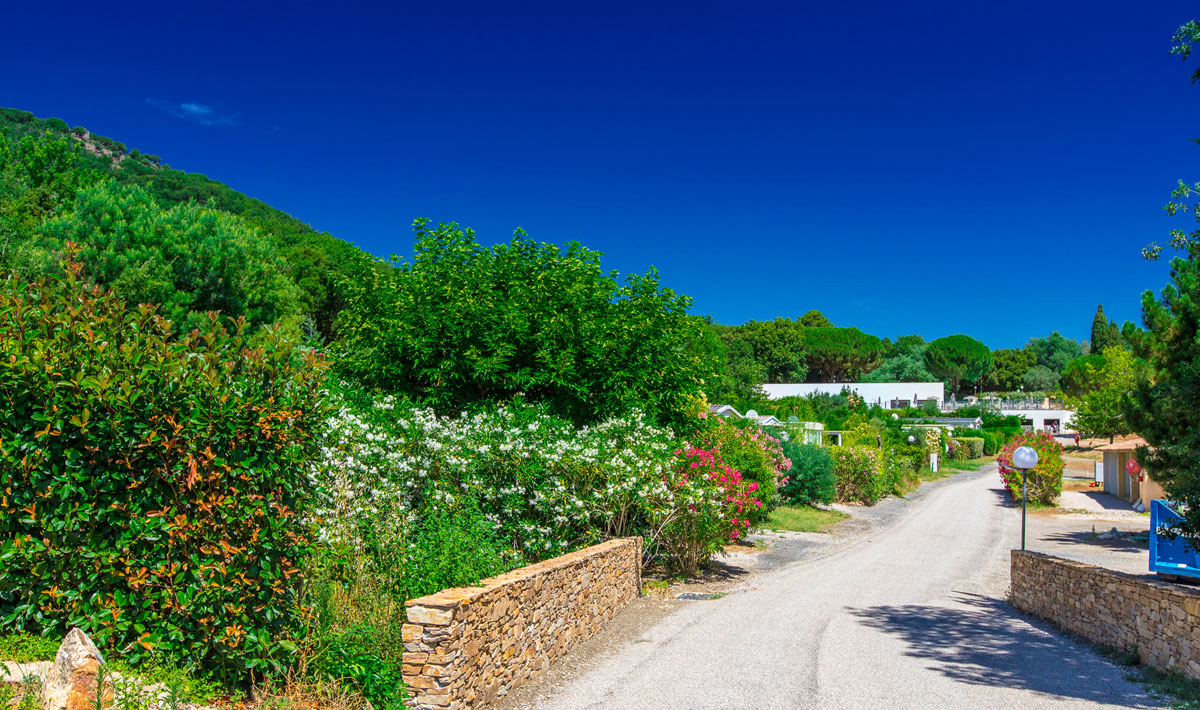Domaine de Miremer Provence-Alpes-Côte d'Azur - La Garde-Freinet visuel 6/7 Domaine de Miremer Provence-Alpes-Côte d'Azur - La Garde-Freinet visuel 6/7