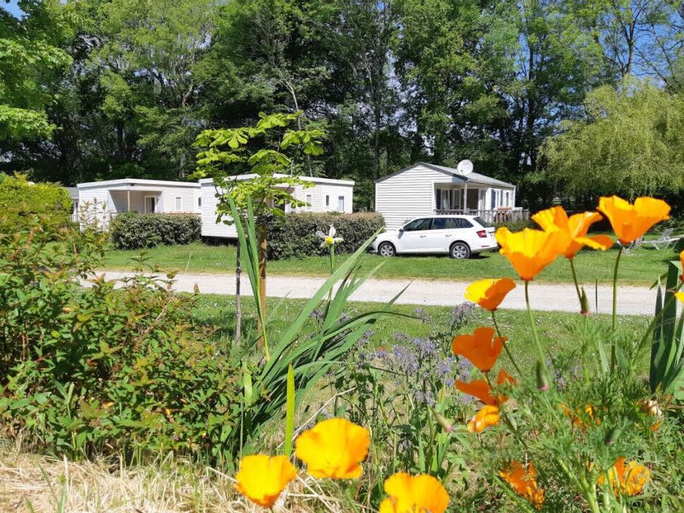 Camping de Locouarn Bretagne - Clohars-Carnoët visuel 4/11 Camping de Locouarn Bretagne - Clohars-Carnoët visuel 4/11