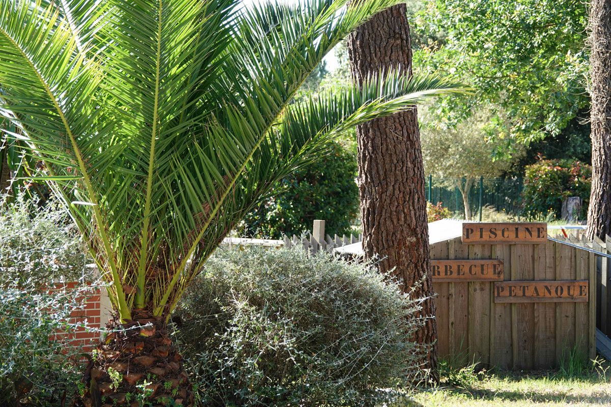 Camping des Pins Aquitanien - Soulac-sur-Mer visuel 7/22