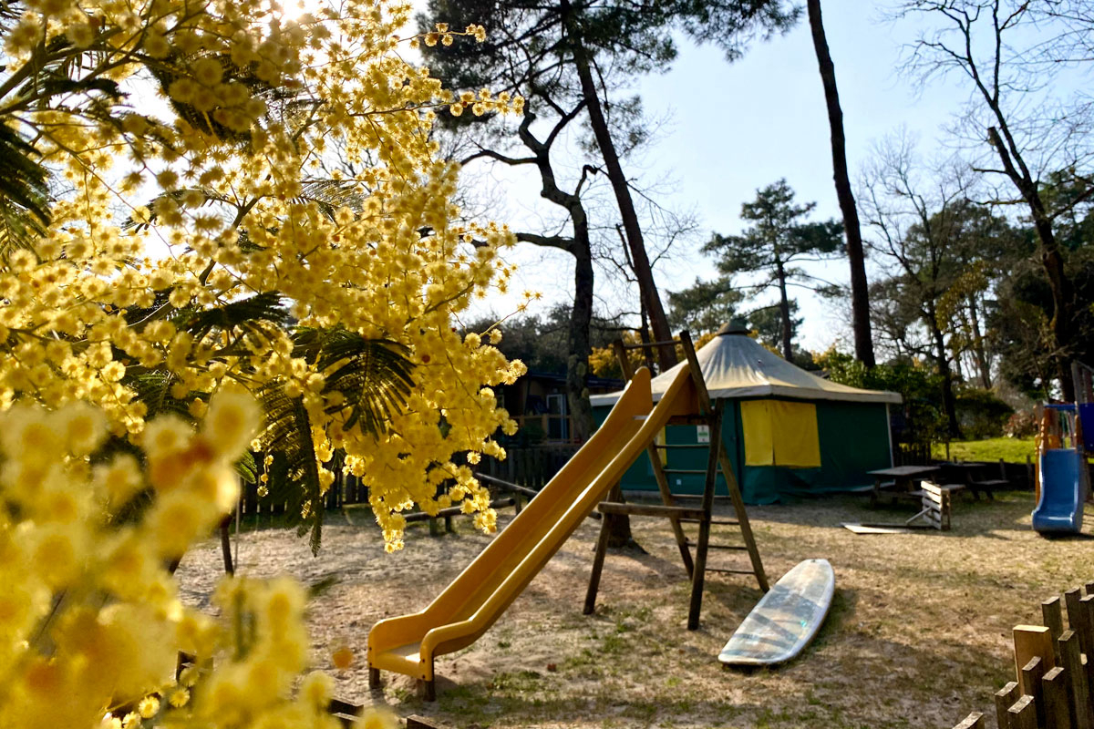 Camping des Pins Aquitanien - Soulac-sur-Mer visuel 8/22