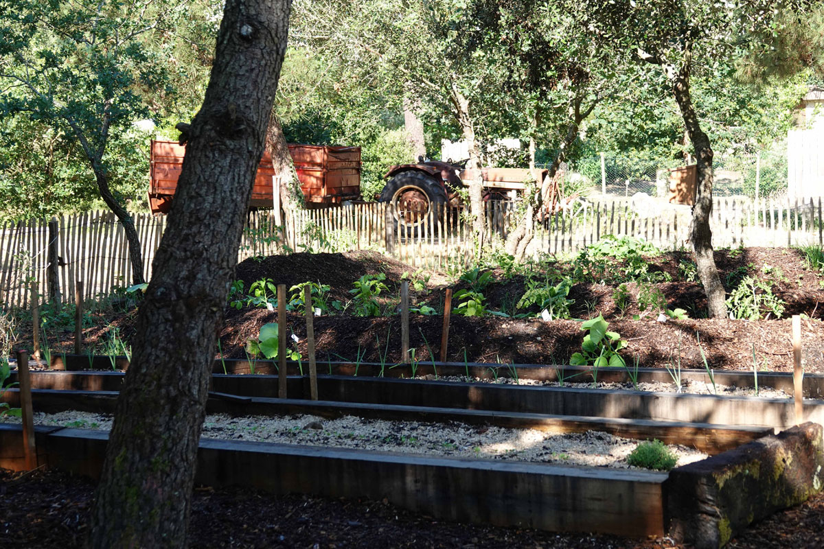 Camping des Pins Aquitanien - Soulac-sur-Mer visuel 20/22