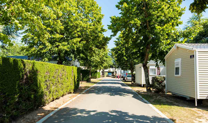 Camping Club MS Le Trianon Das Loire-Gebiet - Les Sables-d'Olonne visuel 49/51 Camping Club MS Le Trianon Das Loire-Gebiet - Les Sables-d'Olonne visuel 49/51