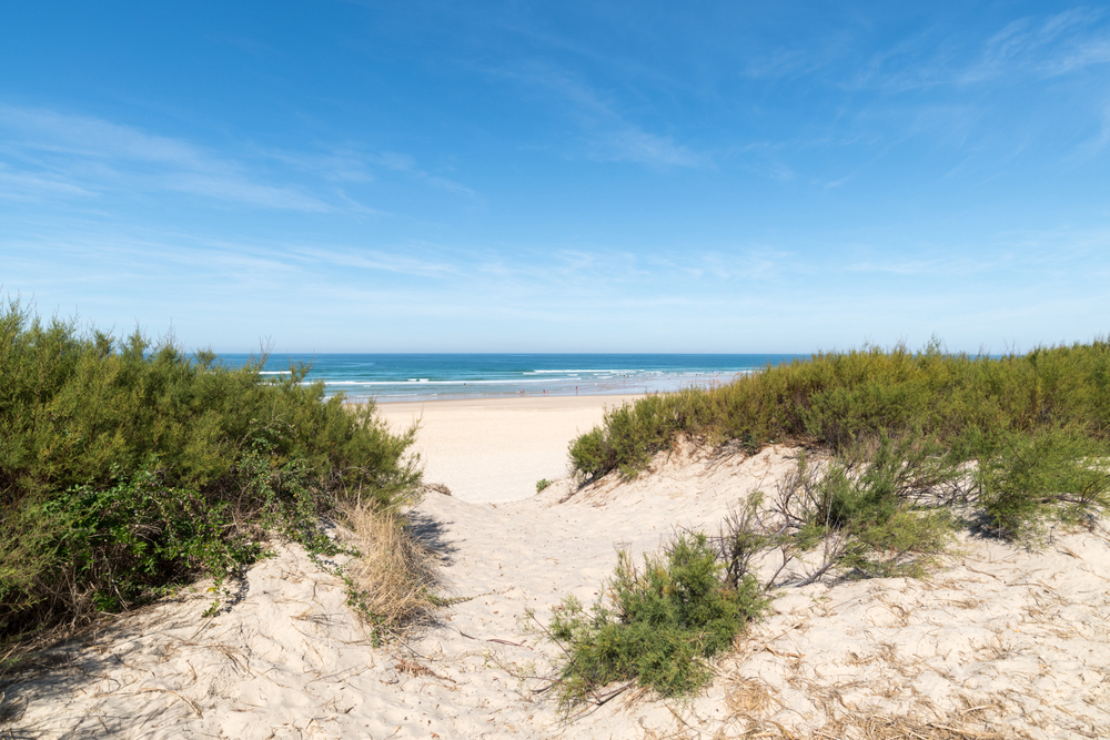 Club Marina Landes Aquitanien - Mimizan visuel 6/6