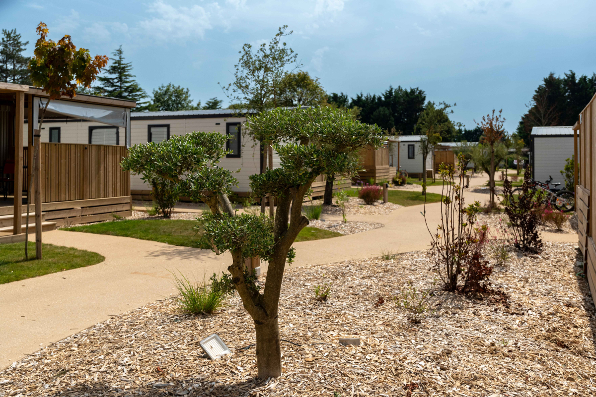 Camping Club MS Le Trianon Das Loire-Gebiet - Les Sables-d'Olonne visuel 42/51 Camping Club MS Le Trianon Das Loire-Gebiet - Les Sables-d'Olonne visuel 42/51