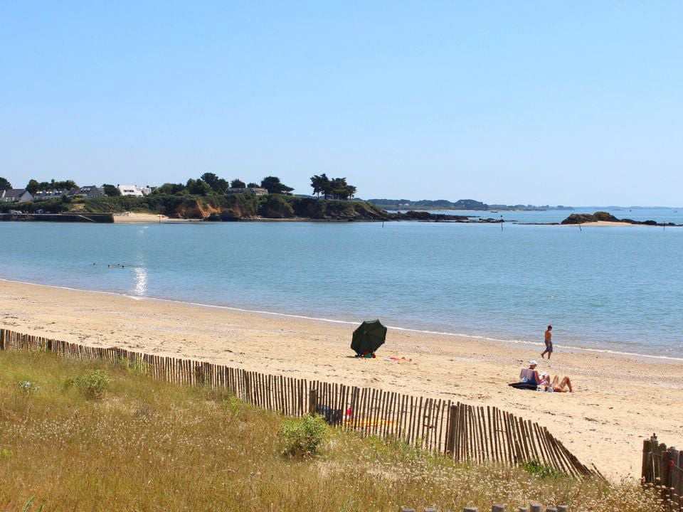 d'Arvor Bretagne - Ambon visuel 5/10