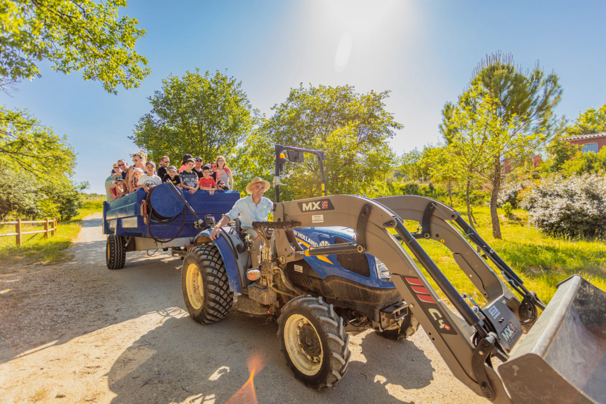 Domaine D'anglas Languedoc-Roussillon - Brissac visuel 3/6 Domaine D'anglas Languedoc-Roussillon - Brissac visuel 3/6