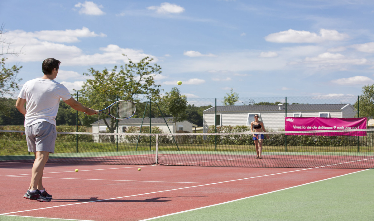 Domaine de Dugny Großes Zentrum - Onzain visuel 14/23 Domaine de Dugny Großes Zentrum - Onzain visuel 14/23