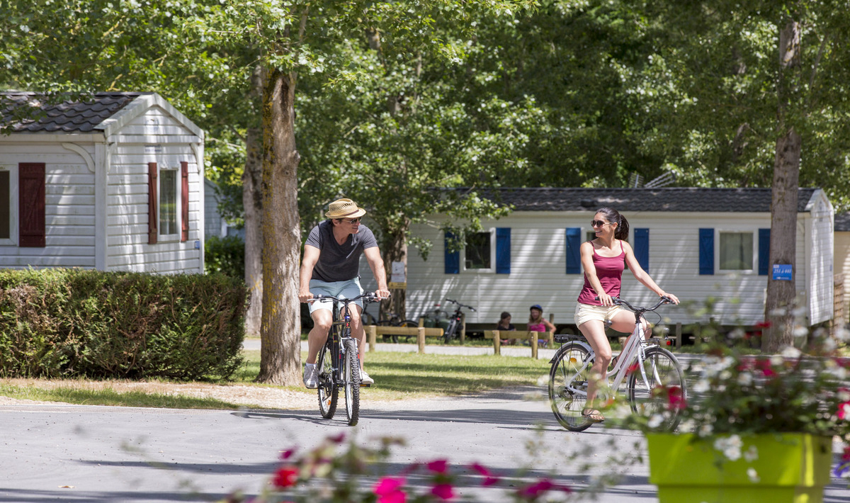 Domaine de Dugny Großes Zentrum - Onzain visuel 5/23 Domaine de Dugny Großes Zentrum - Onzain visuel 5/23