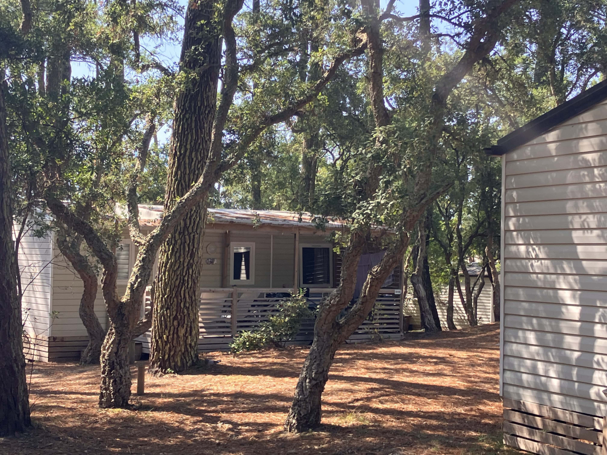 Domaine de Fierbois Aquitanien - Capbreton visuel 7/16 Domaine de Fierbois Aquitanien - Capbreton visuel 7/16