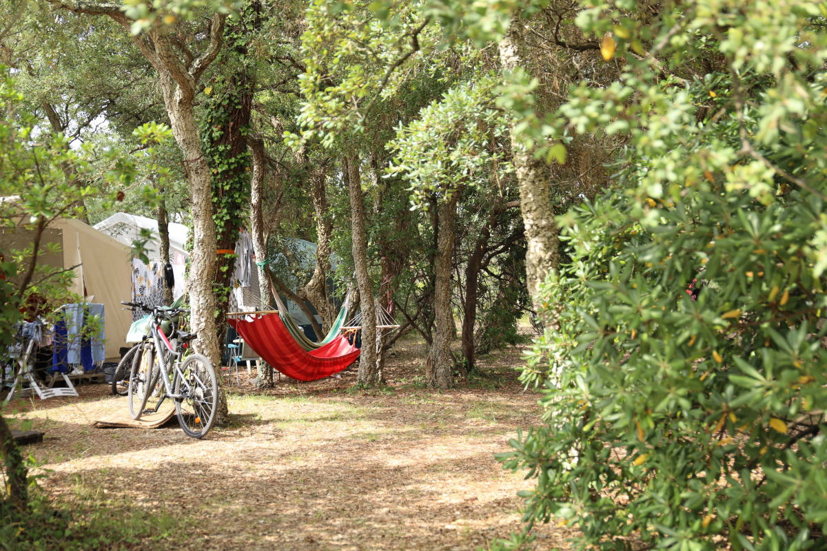 Domaine de Fierbois Aquitanien - Capbreton visuel 15/16 Domaine de Fierbois Aquitanien - Capbreton visuel 15/16