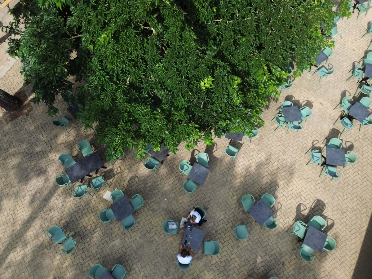 Domaine de Fierbois Aquitanien - Capbreton visuel 8/16 Domaine de Fierbois Aquitanien - Capbreton visuel 8/16