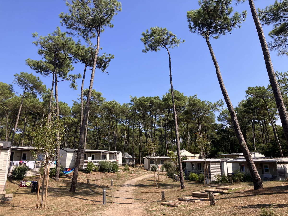 Domaine de Fierbois Aquitanien - Capbreton visuel 2/16 Domaine de Fierbois Aquitanien - Capbreton visuel 2/16