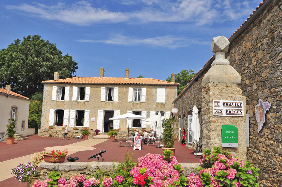 Domaine des Forges Das Loire-Gebiet - Avrillé visuel 11/11 Domaine des Forges Das Loire-Gebiet - Avrillé visuel 11/11