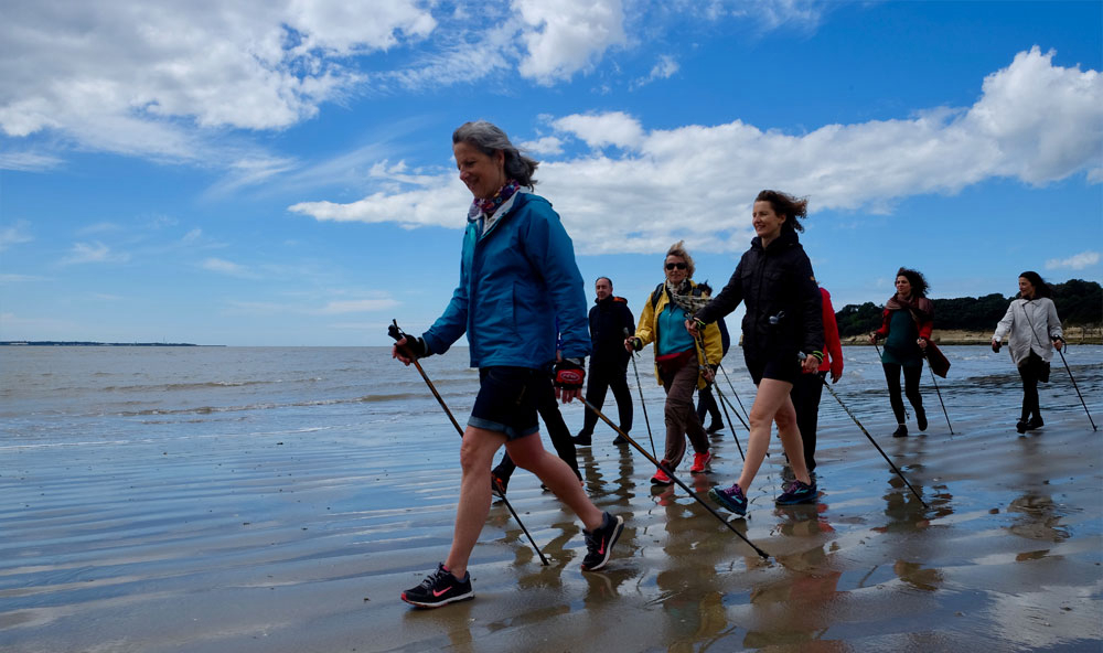 Entre Mer Et Foret Poitou-Charentes - Meschers-sur-Gironde visuel 7/13