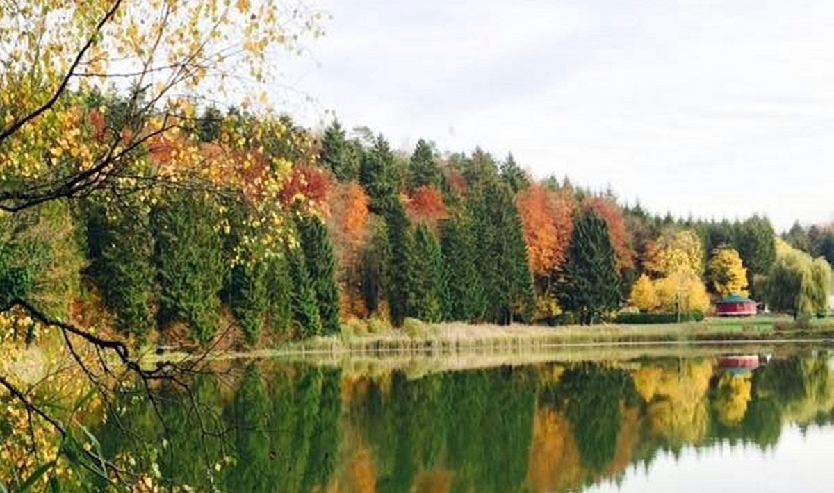 Foxycamp Le Longeau Lothringen - HANNONVILLE SOUS LES COTES visuel 1/2 Foxycamp Le Longeau Lothringen - HANNONVILLE SOUS LES COTES visuel 1/2