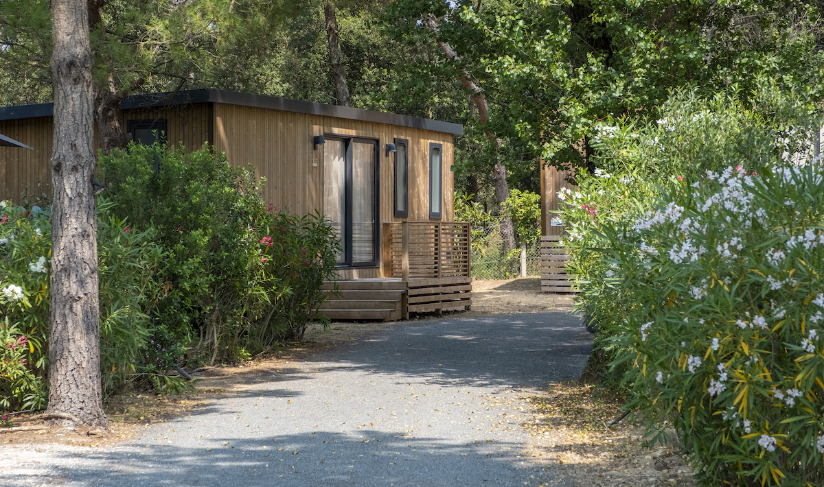 Interlude Poitou-Charentes - Le Bois-Plage-en-Ré visuel 5/9