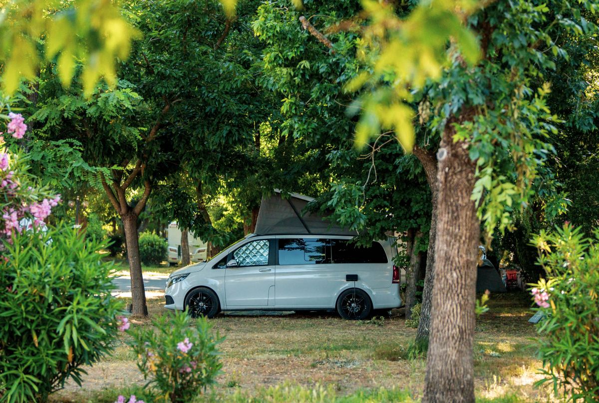 L'Argentière Provence-Alpes-Côte d'Azur - Cogolin visuel 13/15 L'Argentière Provence-Alpes-Côte d'Azur - Cogolin visuel 13/15