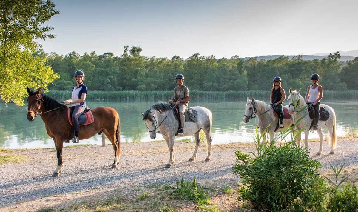 L'Hippocampe Provence-Alpes-Côte d'Azur - Volonne visuel 15/36