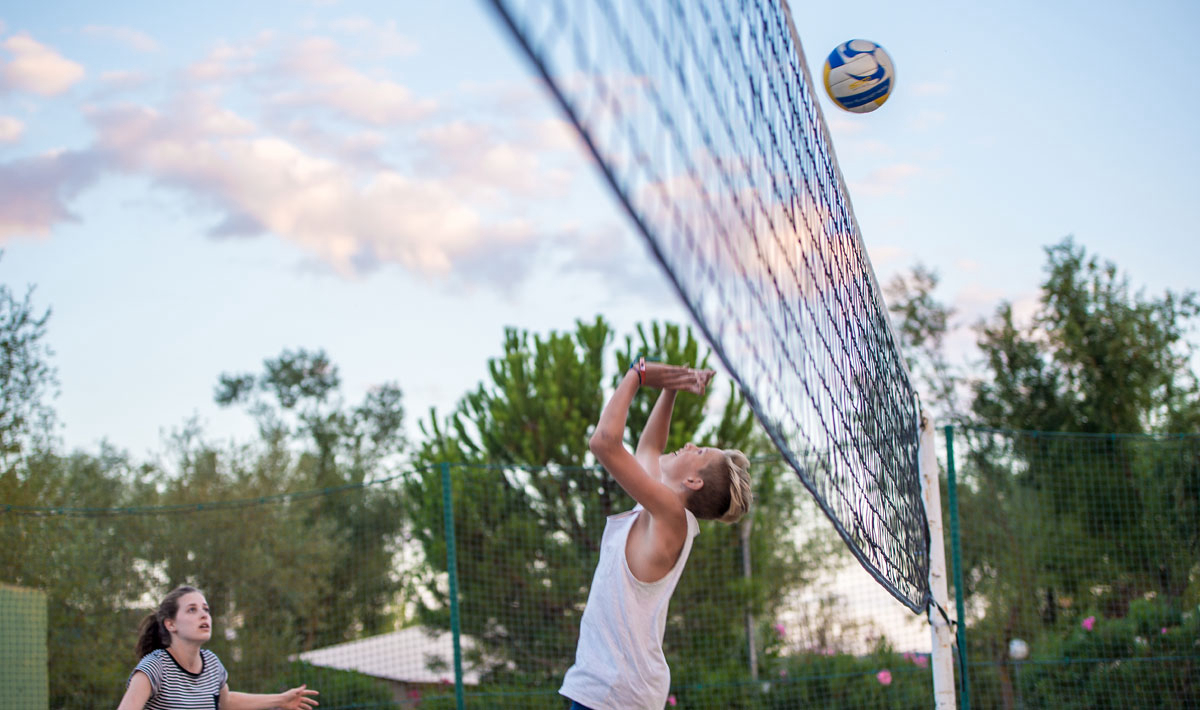 L'Hippocampe Provence-Alpes-Côte d'Azur - Volonne visuel 17/36