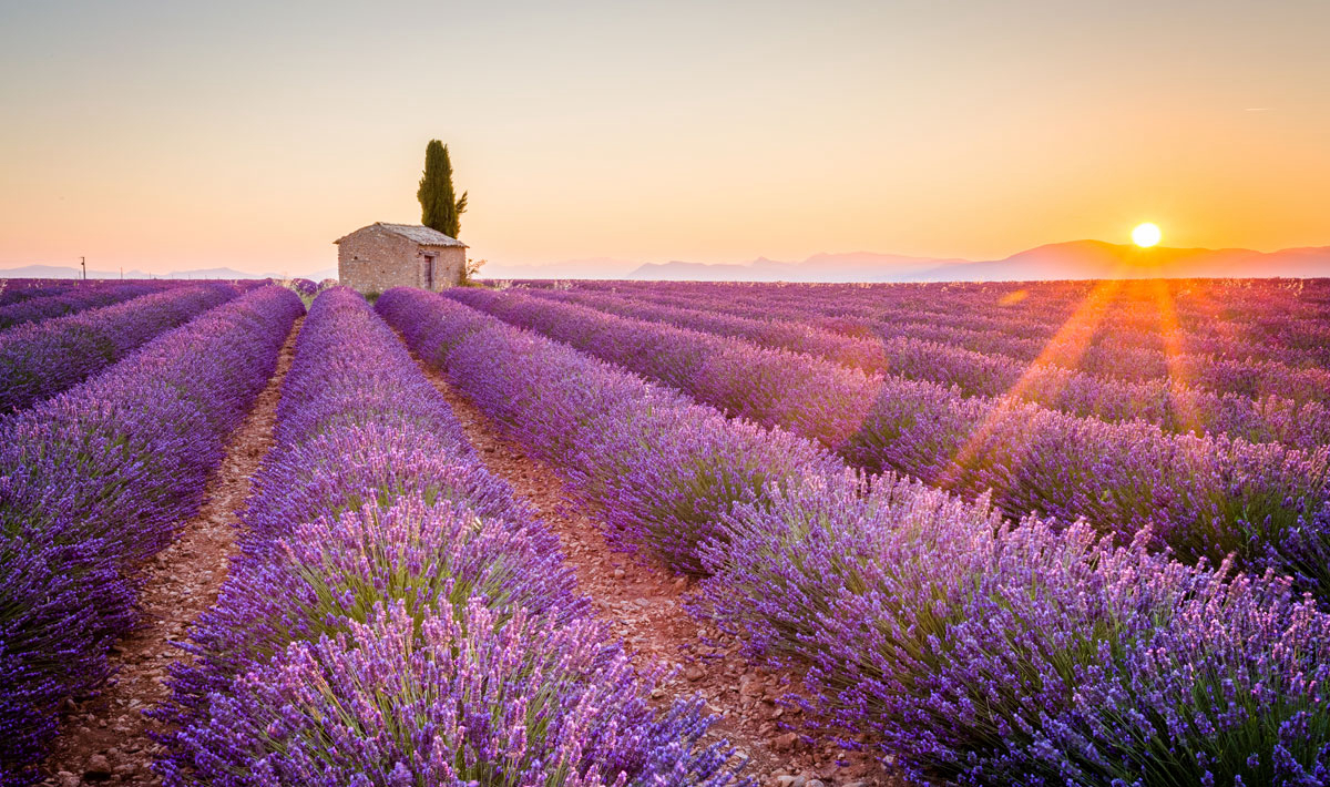L'Hippocampe Provence-Alpes-Côte d'Azur - Volonne visuel 34/36