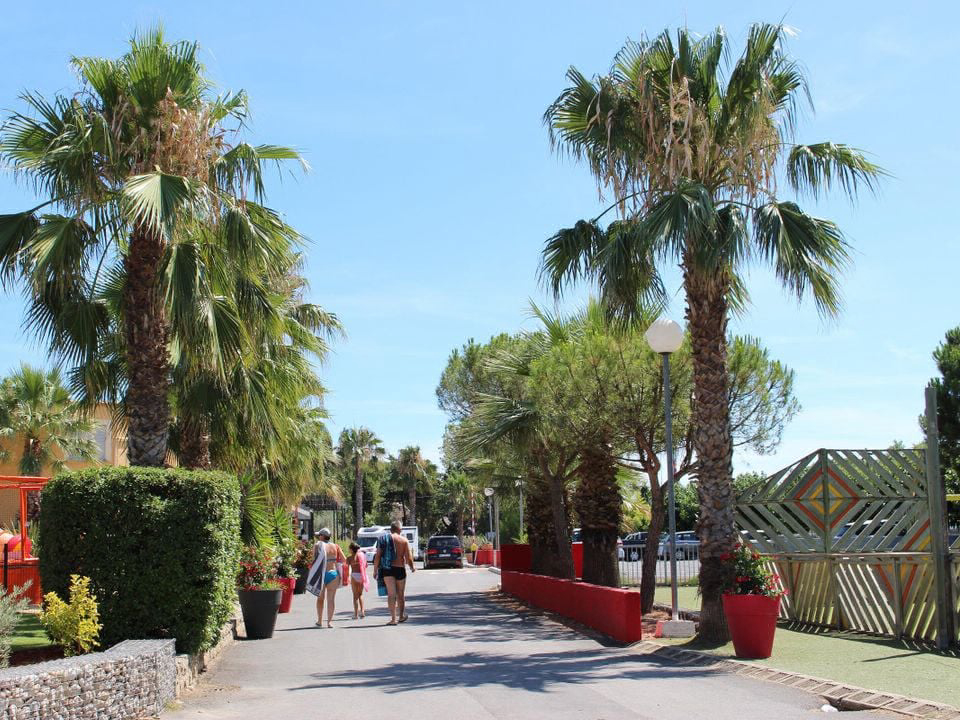 L'Oasis Palavasienne Languedoc-Roussillon - Lattes visuel 8/9