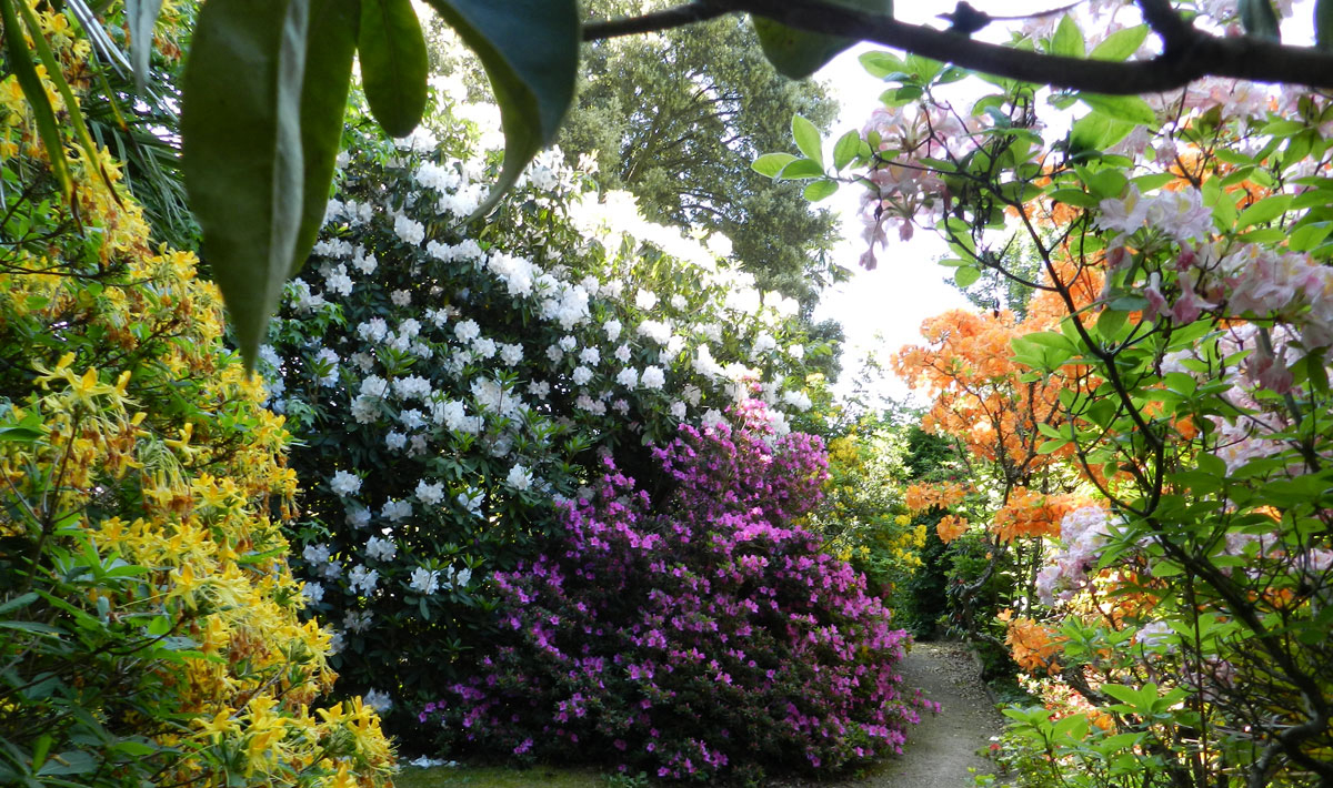 L'Orangerie de Lanniron Bretagne - Quimper visuel 12/18