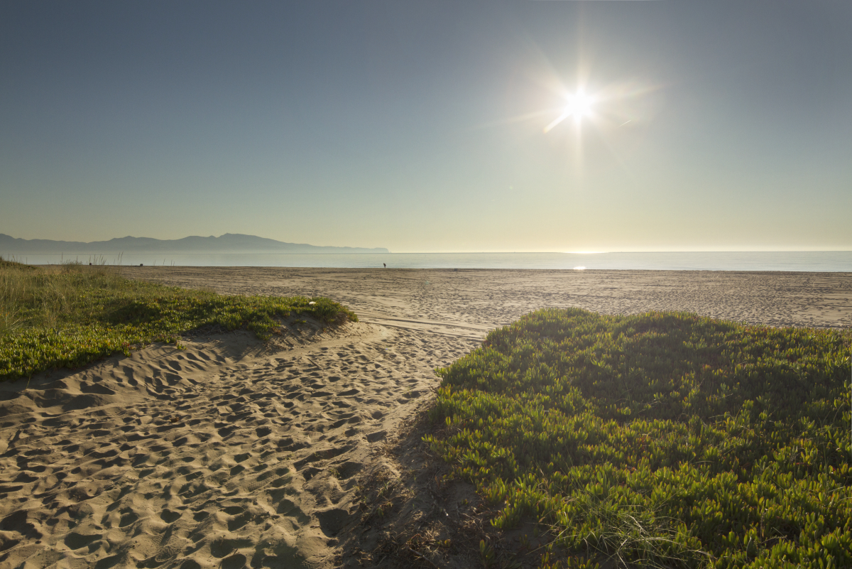 La Ballena Alegre Costa Brava - Sant Pere Pescador visuel 43/45 La Ballena Alegre Costa Brava - Sant Pere Pescador visuel 43/45