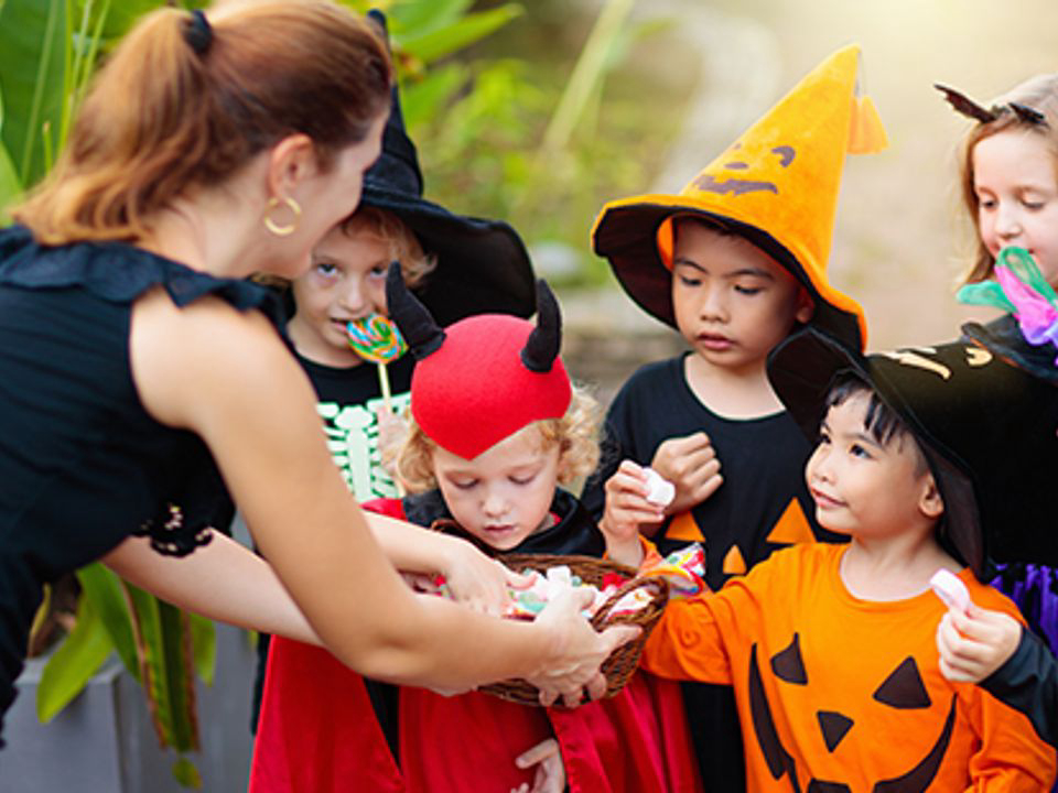 La Berge Fleurie Languedoc-Roussillon - Mialet visuel 4/5 La Berge Fleurie Languedoc-Roussillon - Mialet visuel 4/5