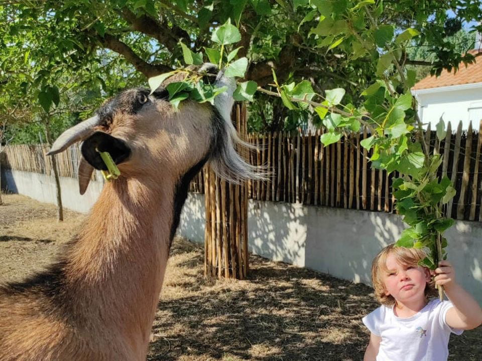 La Conge Das Loire-Gebiet - Saint-Hilaire-de-Riez visuel 4/7