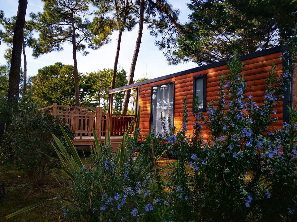 La Conge Das Loire-Gebiet - Saint-Hilaire-de-Riez visuel 5/7