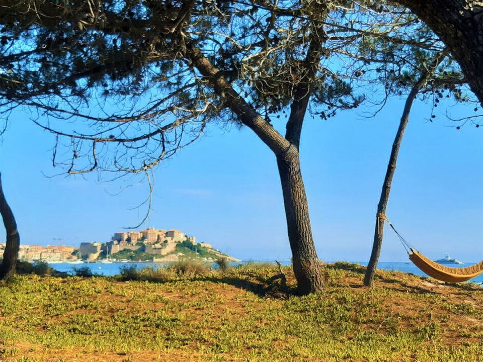 La Dolce Vita Korsika - Calvi visuel 7/11 La Dolce Vita Korsika - Calvi visuel 7/11