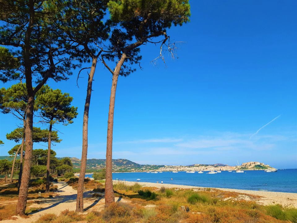 La Dolce Vita Korsika - Calvi visuel 1/11 La Dolce Vita Korsika - Calvi visuel 1/11