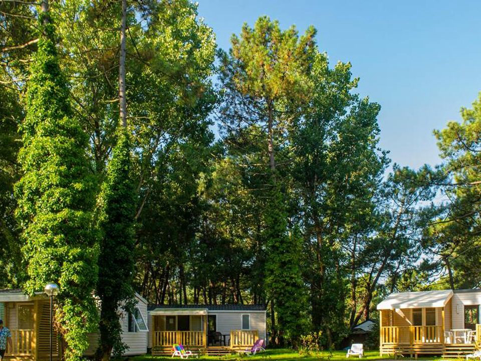 La Dune Blanche Nord-Pas de Calais - Camiers visuel 3/7 La Dune Blanche Nord-Pas de Calais - Camiers visuel 3/7