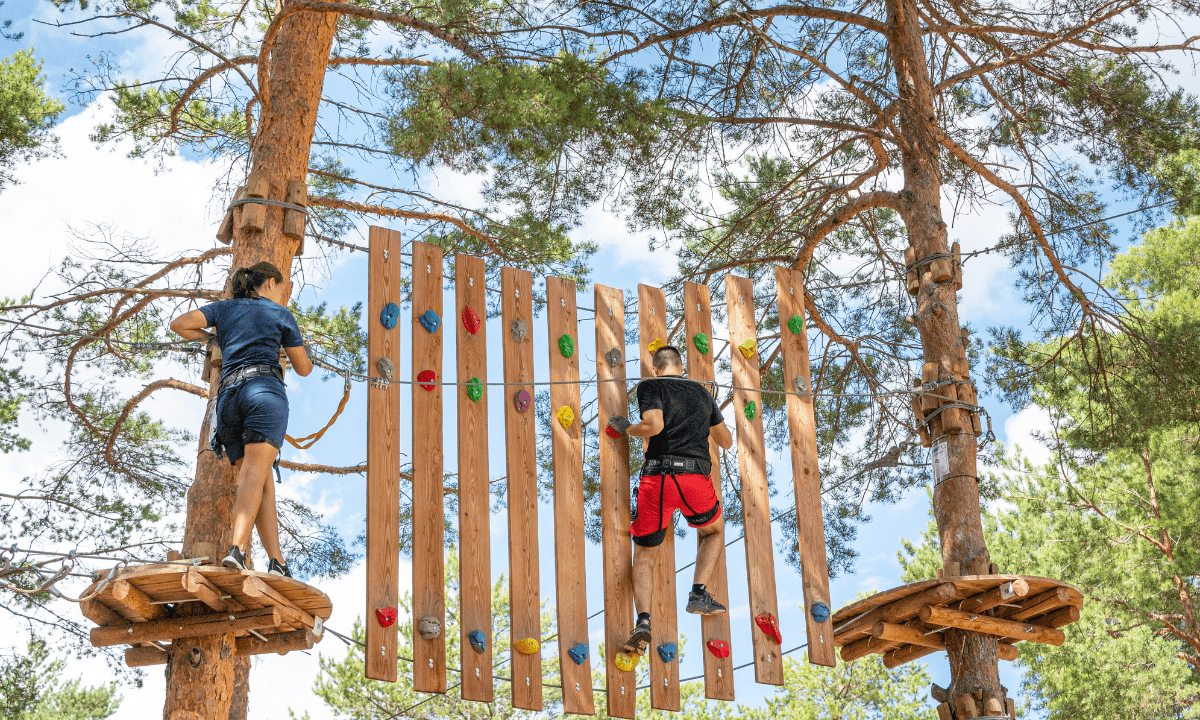 La Farigoulette Provence-Alpes-Côte d'Azur - Saint-Laurent-du-Verdon visuel 5/22