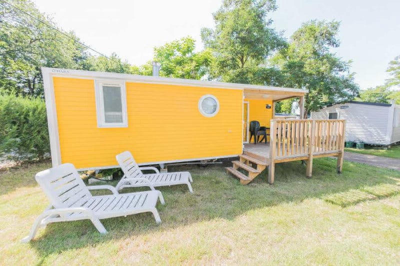 La Ferme Poitou-Charentes - Saint-Augustin visuel 12/27 La Ferme Poitou-Charentes - Saint-Augustin visuel 12/27