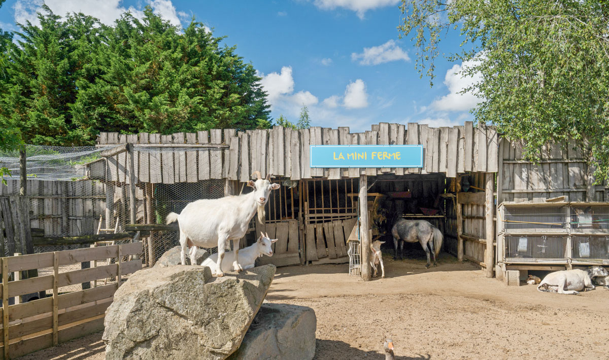 La Grand'Métairie Das Loire-Gebiet - Saint-Hilaire-la-Forêt visuel 13/46 La Grand'Métairie Das Loire-Gebiet - Saint-Hilaire-la-Forêt visuel 13/46
