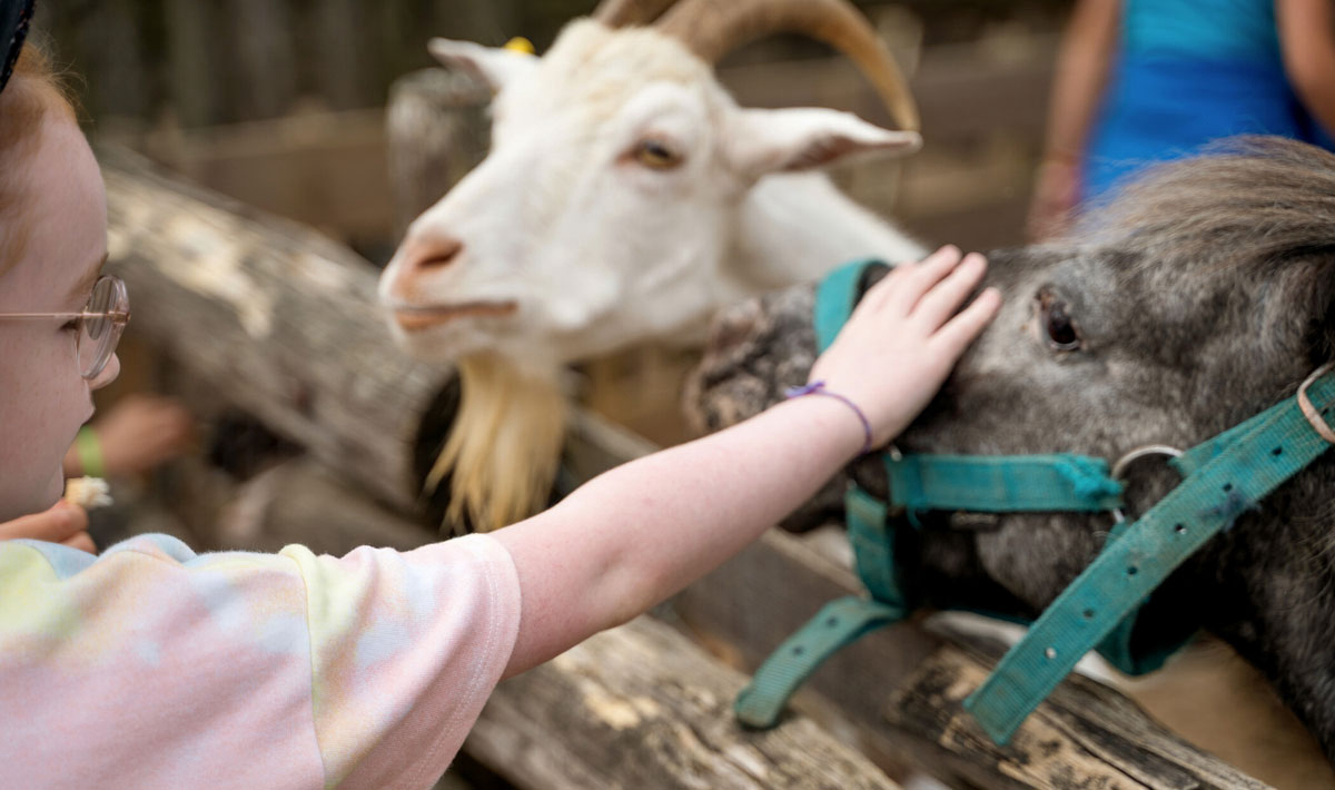La Grand'Métairie Das Loire-Gebiet - Saint-Hilaire-la-Forêt visuel 26/46 La Grand'Métairie Das Loire-Gebiet - Saint-Hilaire-la-Forêt visuel 26/46
