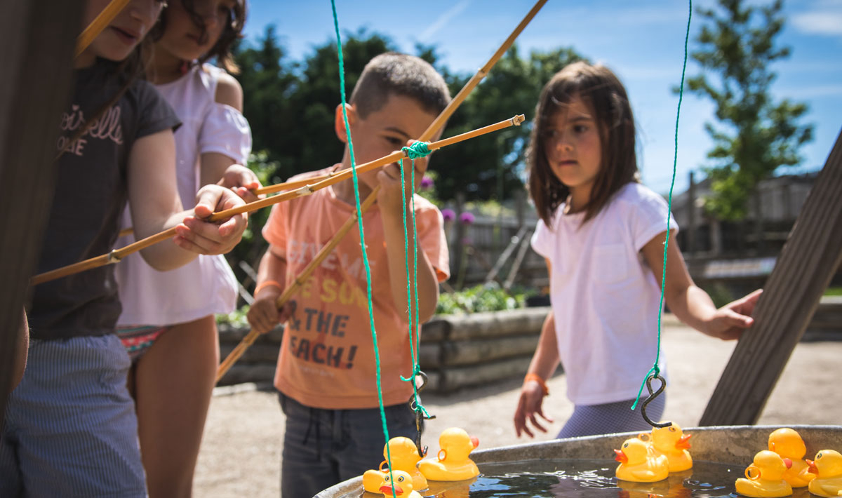 La Grand'Métairie Das Loire-Gebiet - Saint-Hilaire-la-Forêt visuel 28/46 La Grand'Métairie Das Loire-Gebiet - Saint-Hilaire-la-Forêt visuel 28/46