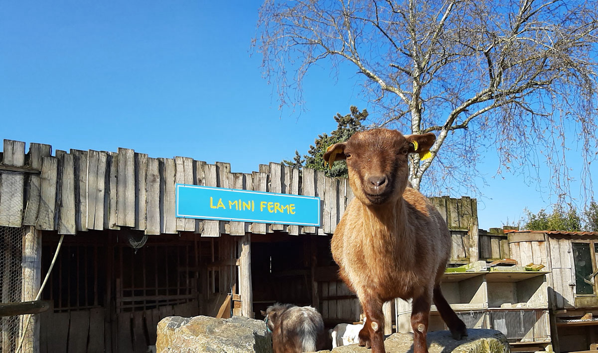 La Grand'Métairie Das Loire-Gebiet - Saint-Hilaire-la-Forêt visuel 22/46 La Grand'Métairie Das Loire-Gebiet - Saint-Hilaire-la-Forêt visuel 22/46