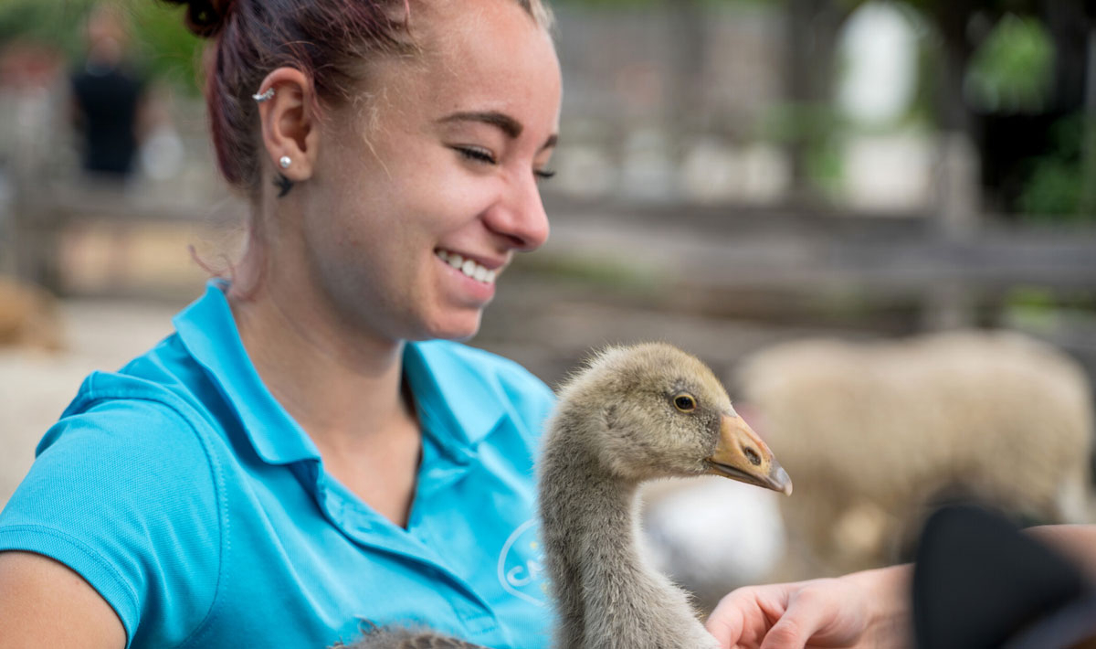 La Grand'Métairie Das Loire-Gebiet - Saint-Hilaire-la-Forêt visuel 27/46 La Grand'Métairie Das Loire-Gebiet - Saint-Hilaire-la-Forêt visuel 27/46