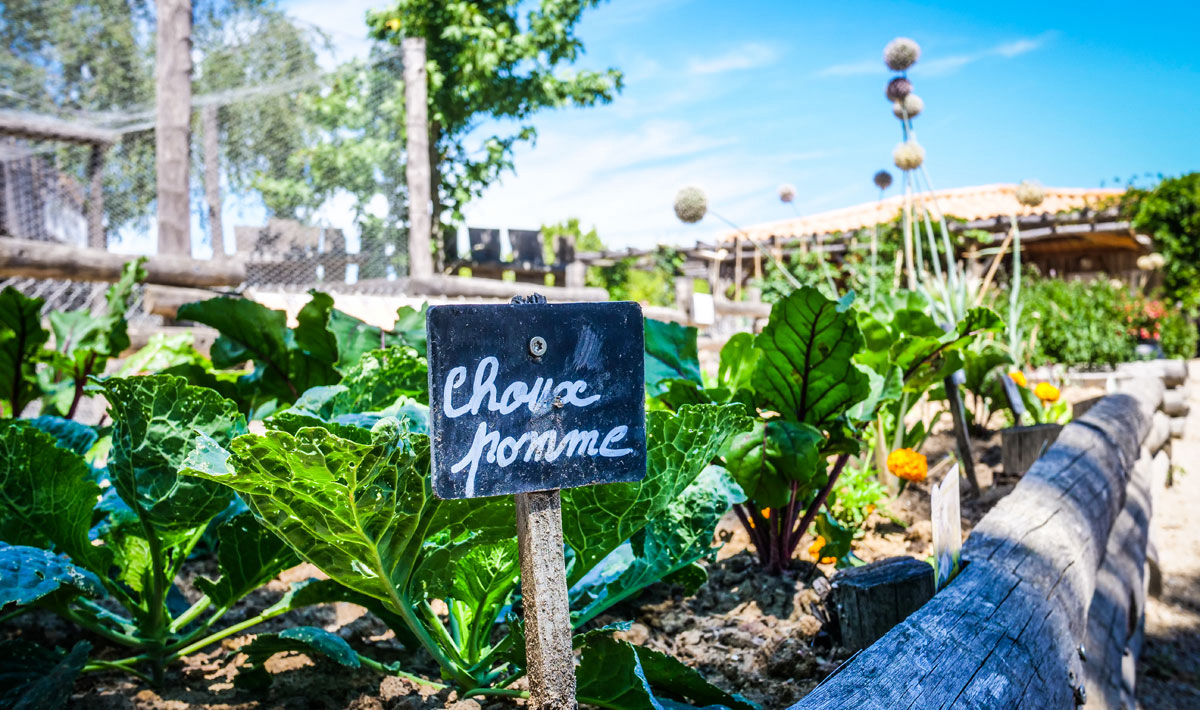La Grand'Métairie Das Loire-Gebiet - Saint-Hilaire-la-Forêt visuel 29/46 La Grand'Métairie Das Loire-Gebiet - Saint-Hilaire-la-Forêt visuel 29/46