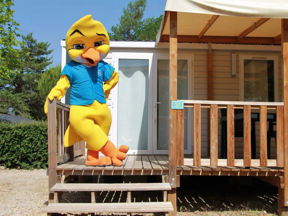 La Pinède Provence-Alpes-Côte d'Azur - Gréoux-les-Bains visuel 6/9 La Pinède Provence-Alpes-Côte d'Azur - Gréoux-les-Bains visuel 6/9