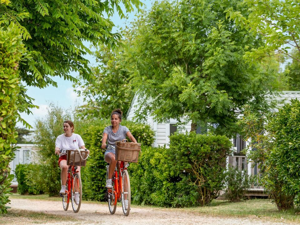 La Plage Poitou-Charentes - Saint-Clément-des-Baleines visuel 12/18