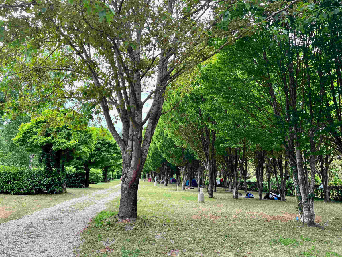 La Rivière Dorée Ile de France - null visuel 10/22 La Rivière Dorée Ile de France - null visuel 10/22