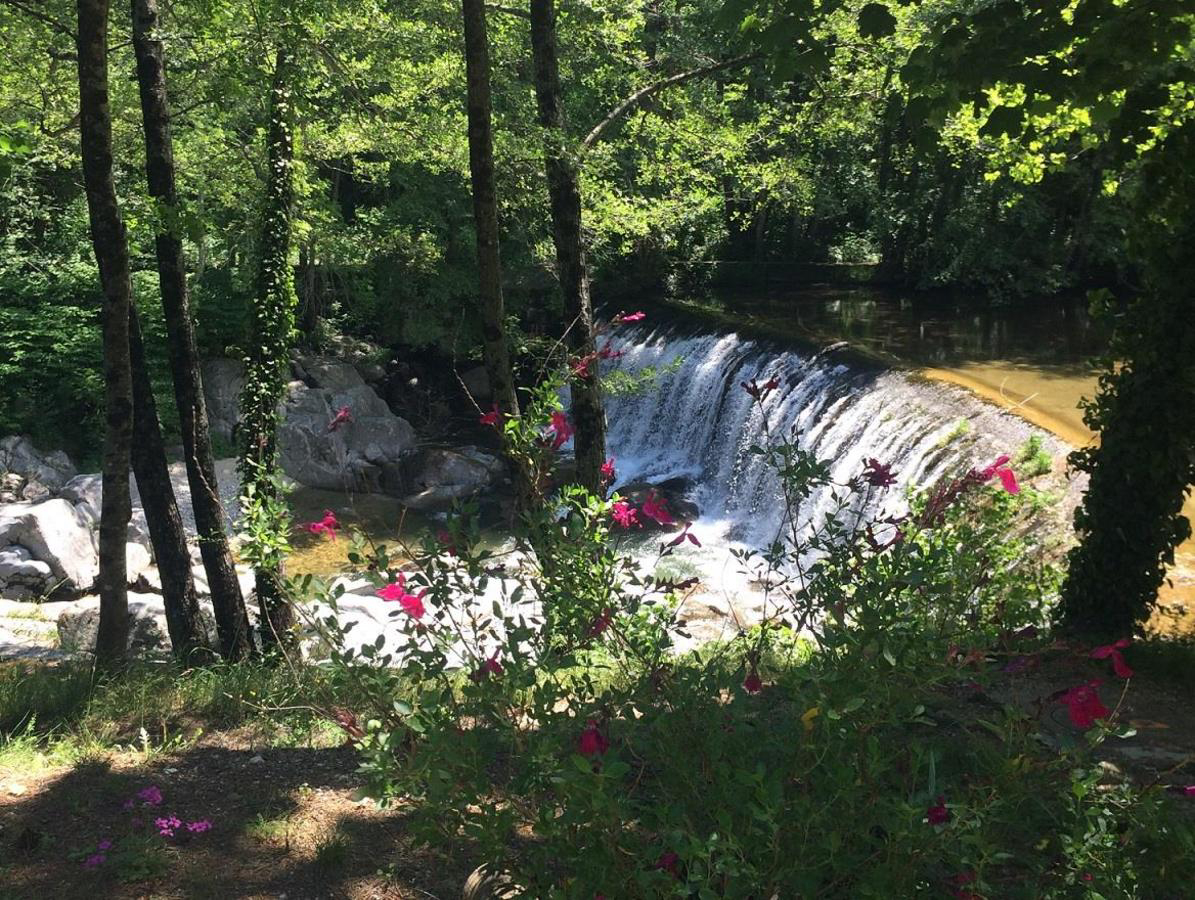 La Salendrinque Languedoc-Roussillon - Lasalle visuel 2/5