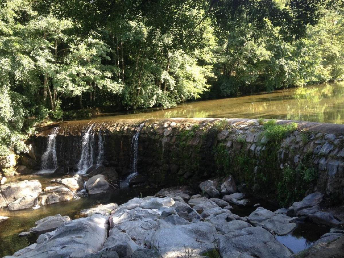 La Salendrinque Languedoc-Roussillon - Lasalle visuel 4/5