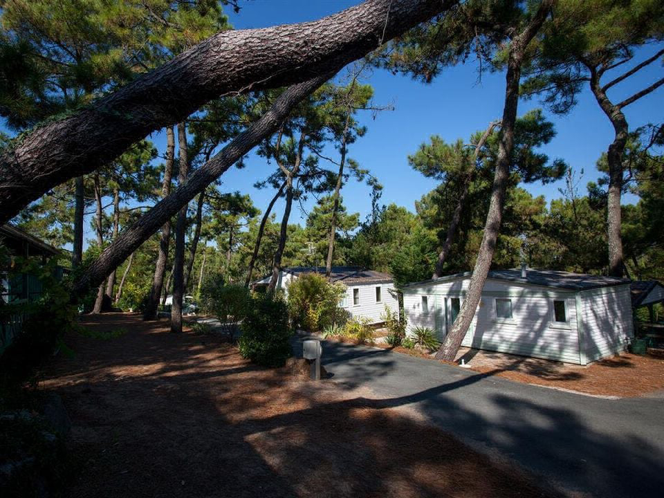 La Siesta Das Loire-Gebiet - La Faute-sur-Mer visuel 7/9 La Siesta Das Loire-Gebiet - La Faute-sur-Mer visuel 7/9